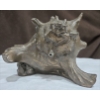 Image 4 :  Shell Hand Carving 