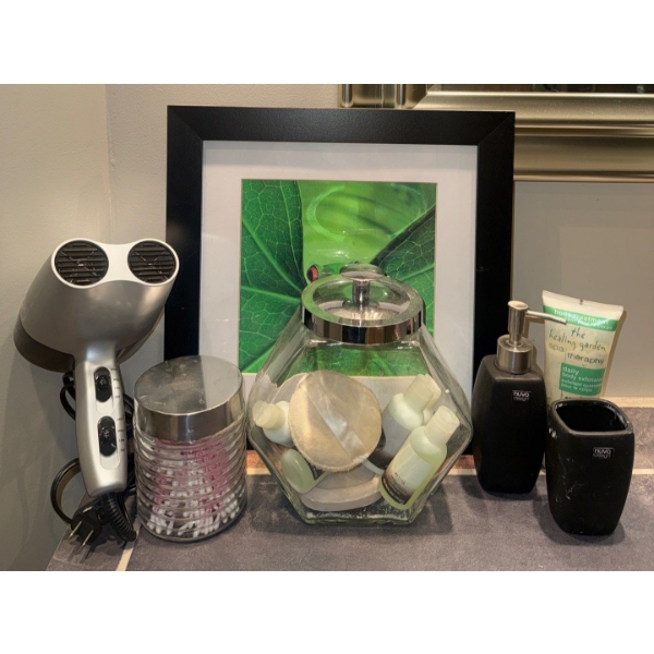 Bundle of Bathroom Decor  Double Hair Dryer, Soap Holder & More