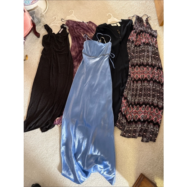 Evening Gown Collection Ladies Size Large