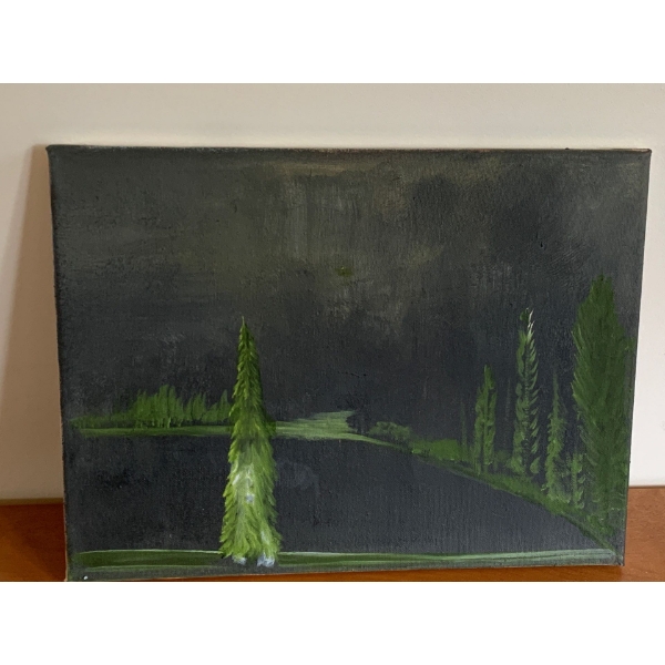 Lauri Ansell Lake At Night Canvass Board  12 x 16