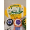 Image 5 : Edmonton Themed Memorabilia Including Commemorative Plate and Pins