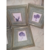 Image 3 : 7 Floral Framed Prints 10 w 12 h, 12 w 13 h