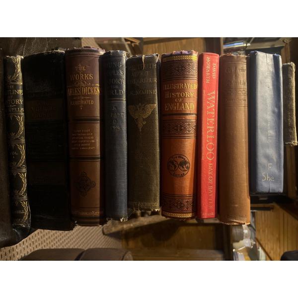 Collection of amazing old books dating back to the late 1800s including Charles Dickens history of E