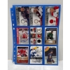 Image 1 : Binder Sleeve of NHL Cards - Various Years