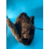 Image 9 : Antique & Vintage Miscellaneous Collection - Shavers, Fur Hat, Metal Basketball Net Frame & More