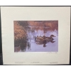 Image 2 : Kerri Burnett "Spring Pond: Gadwalls" Signed Wildlife Habitat Canada Print