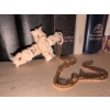 Image 4 : Religious Reads w/ 3D Carved Praying Hand Plaque & Unique Bone Cross Necklace 