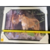 Image 4 : Framed Print of Lions