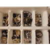 Image 2 : Assorted Vintage Earrings - 36+ Pairs - Costume Jewellery - White Trays 