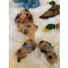 Image 3 : Vintage Ceramic Bull Dog Chalk Wear Plaques, Including Dog Group and Flying Ducks