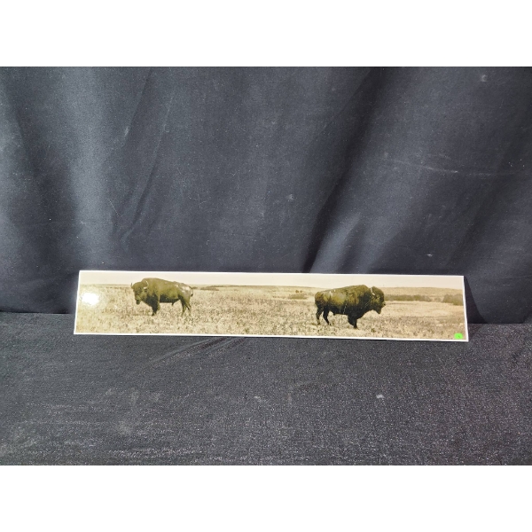 Laminated Foam Board with Bison Prairie Photograph 36 x 6