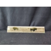 Image 1 : Laminated Foam Board with Bison Prairie Photograph 36 x 6