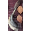 Image 5 : Ostrich Eggs and Decorative Natural Objects Assortment