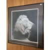 Image 1 : Lion Drawing 23 X 25 Framed Under Glass 