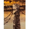 Image 3 : L Kent Oil On Canvass 30 x 26 Prairie Scene