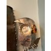 Image 5 : Owl Home Decor Collection, Bring Tools, Incl. Cast Iron Coat Hook, Trippy Picture, Metal Welcome 