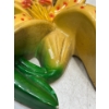Image 3 : Chalk Fruits and Flower, Pair of Oranges and a Yellow Spotted Lily