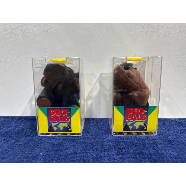 Geo-Pals: Rhino and Water Buffalo