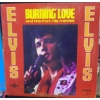 Image 2 : Records: Elvis, Neil Diamond, Cultosaurus