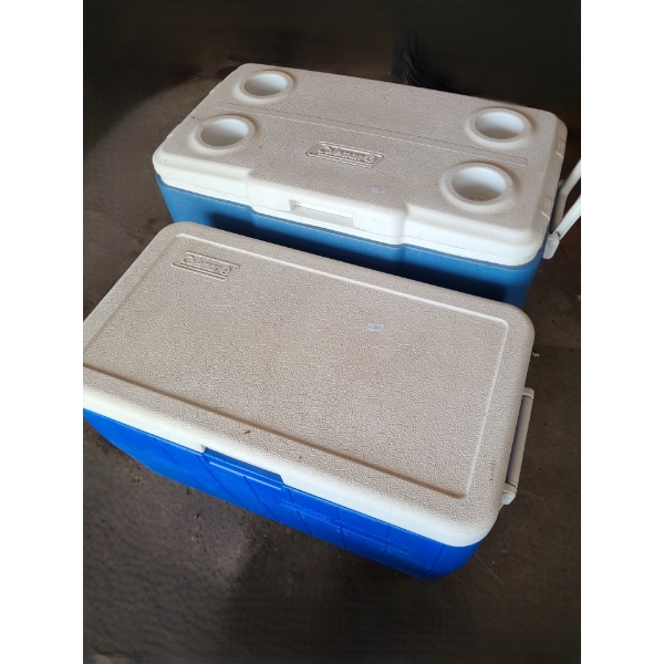 Pair of Coleman Coolers- Light: 26 W, 14 D, 16 T and Dark: 23 W, 13 D, 16 T 