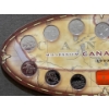 Image 2 : 1999 Canadian 25 Cent Millennium Coin Set