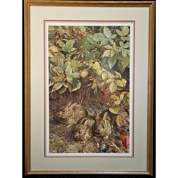 'A Young Generation - Cottontails' by Carl Brenders - 28W x 37.5H" (1989)