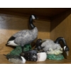 Image 1 : Flock of Decorative Geese 11T (Beak Broken on one) 