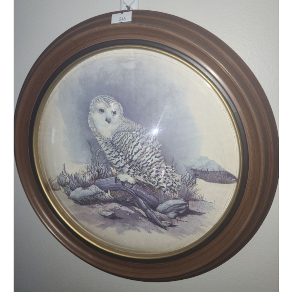 Owl Plate in Frame 12" Diameter (3D Collage Layering)
