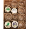 Image 4 : Glass Canning and Storage Jars With Mixed Lids