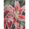Image 2 : Lillies Painting, Signed: J. Cupido , Framed Under Glass, 15.5 X 19