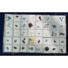 Image 1 : Tray of Unauthenticated Loose Gemstones