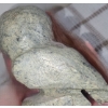 Image 7 : Soapstone Carvings: Seal 2 W, 3.5 D, 2.5 T - Owl 3 W, 2 D, 3.5 T 