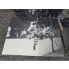 Image 6 : Vintage Hockey Photos Featuring Stanley Cup Moments