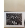 Image 3 : Three Framed Historical Black-and-White Edmonton Prints