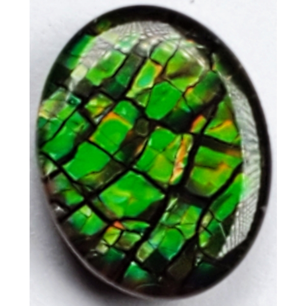 Ammolite Triplet (1.5 ct, 9×7×2.3 mm)
