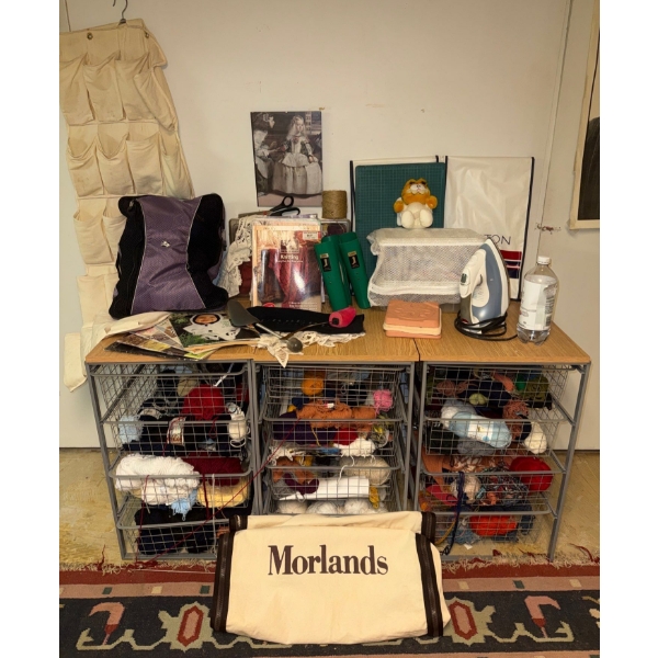Massive Hobbiest & Crafter's Collection - 3 Organizers Yarn Galore & More