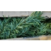 Image 9 : Fibre Optic Tree Model TN96S30Q and Danson 6.5 Foot Pre-Lit Vienna Pine Tree Model X95819-7FTMETAL