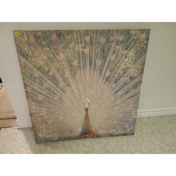 Peacock print - 30W, 30T 