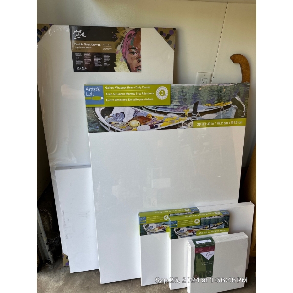 6 Pcs Collection of Canvases 