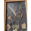 Image 9 : - Red Boxes- Largest: 9 W, 9 D, 3 T, Frames Incl: 6.5 X 5, Majesty 1961-1997 Diana, Cards and More!