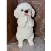 Image 1 : Poodle Figurines Collection