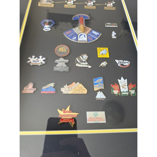 Framed & Mounted Pin Collection