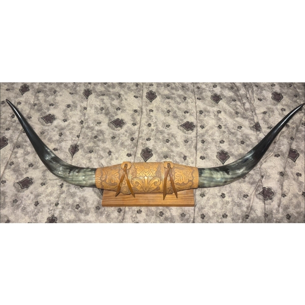 Mounted Horns With Leather Work