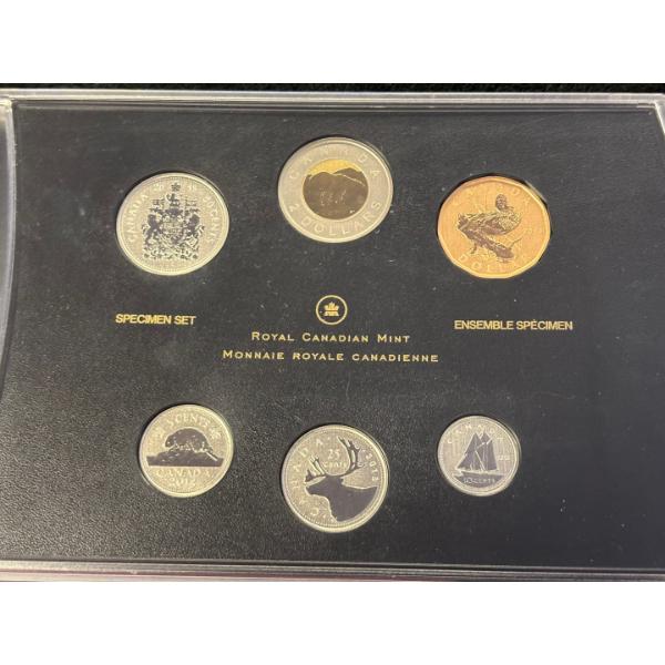 2013 Specimen Set: Black Bear Cubs - Special Edition Produced By: RCM