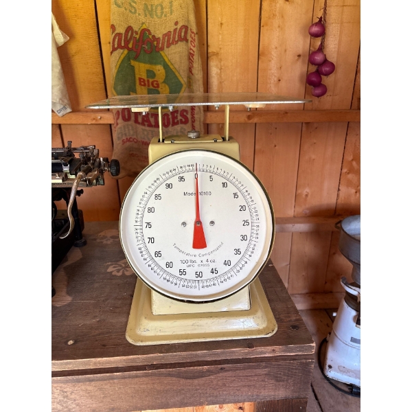 Temperature Compensated Scale model 10100