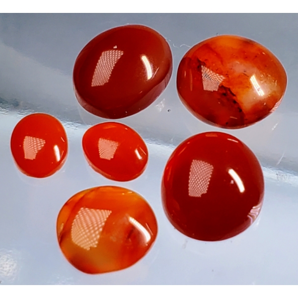 Carnelian Set (20.8 ct total, largest 12×10 mm)