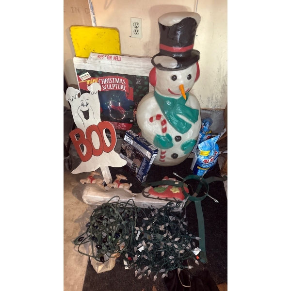 Outdoor Holiday Decor & Lights 