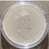 Image 3 : 2002 One Ounce Fine Silver Coin