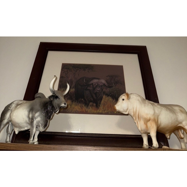 Vintage Breyer Molding co370 Brahma Bull Figurines & Framed Print