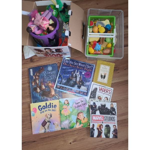 Assortment of Toys and Books